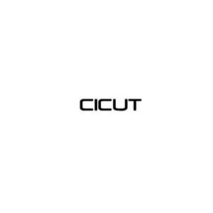 CICUT (Ibero-American Cluster for University Collaboration in Telemedicine)