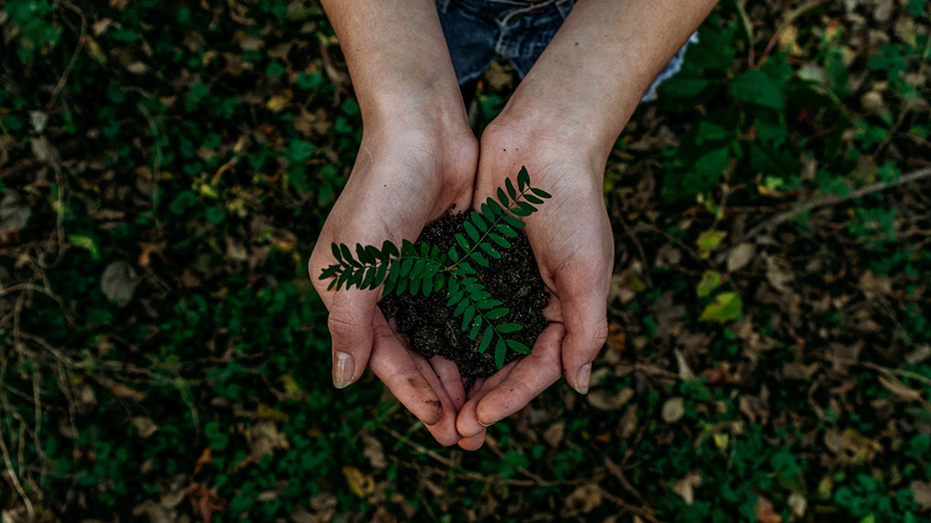 Foto: Unsplash/ Noah Buscher