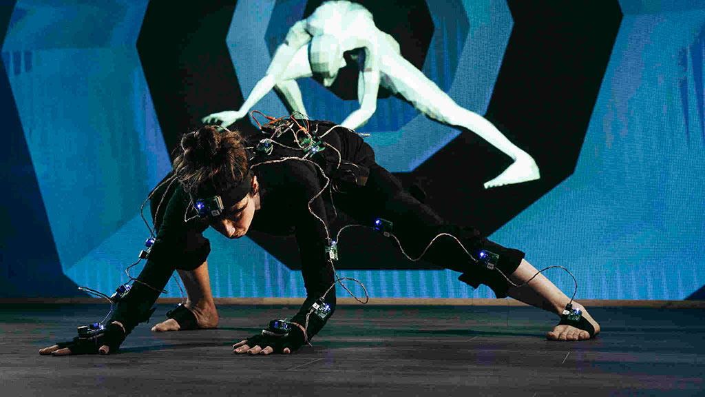 Chordata Motion